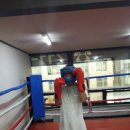 김광선 복싱체육관 이미지