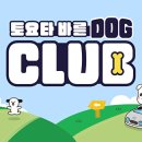 도그클럽 이미지