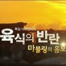 더마블링 이미지