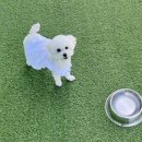 개편한 스쿨 이미지