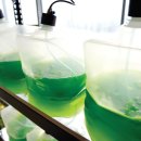 벧엘농장2 이미지