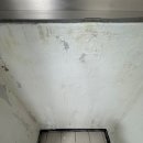 다온약품 이미지