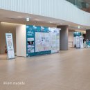 마이캐리 | 페어 | 코엑스 마곡 나의 첫 베이비페어 방문후기, 순성 캐리 카시트 · 클리어잭 아기 수전 · 마더...