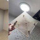 뽀드득청소 이미지