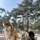 아더엘