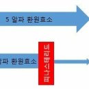 1타2피 이미지