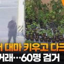 야산서 대마 키우고 다크웹서 코인 거래…60명 검거 / 연합뉴스TV 이미지