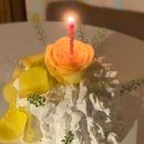 플로리즈