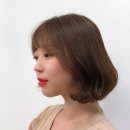 담따 이미지