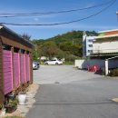 천년나무7단지 앞 이미지