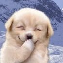 미리내동물병원 이미지