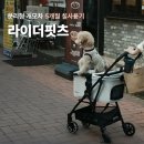 라이라이뉴 | 분리형 강아지 유모차 버디두기 라이더핏츠 실사용기