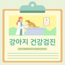 상암동물병원 이미지