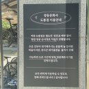 쁘띠베이커리 - 용인시 처인구 | 대전맛집 쁘띠정동문화사 주말(일요일) 오전 웨이팅 현실후기 | 주차, 베이커리 종류 총정리