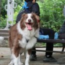 새나리로38번길 이미지