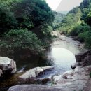 금대민박 이미지