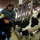 구강목장 이미지