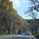 갑도농장 이미지