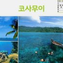 신원라이프 이미지
