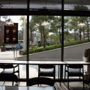 강남왕족 이미지