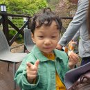 뒷구미 어린이공원 | [구미] 금오산 호텔 결혼식/금오랜드/금오산공원