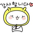 블링블링카페호프