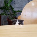 민's헤어(민스헤어)