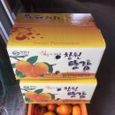 일광농원 이미지