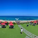 바다정원 이미지