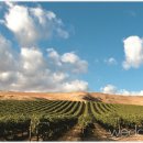 허니문2 이미지