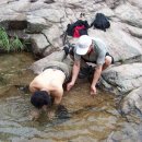 윤씨농장 이미지