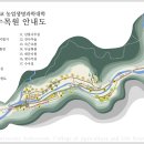 안양 수목원 탐방기, 58년 숲의 역사와 자연이 살아 숨 쉬는 공간
