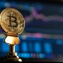 와이지케이디자인 티스토리