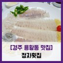 현진민물매운탕 | [경주 용황동 맛집] 정자횟집 - #내돈내산 깔끔한 경주 모둠회 정식 솔직 리뷰 후기