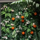 고기사랑 이미지