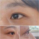 청백리길 | 산본 네일샵 추천 네일도디 꼼꼼친절&amp;클레오파트라 뷰티네일 내돈내산 솔직후기