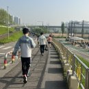 구로-고척-구로-871 | 2024 제13회 양천 마라톤대회 5km 코스 후기