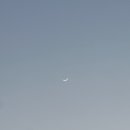 진달래농장 이미지