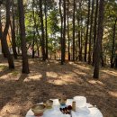 소호 숲 이미지