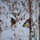 내마음의여행 이미지