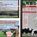 황간흑염소 이미지