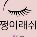 쩡이LASH