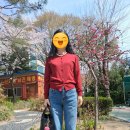화인패션 - 영월군 요리골목길 15 | 4월 외출룩 탑텐 화인 메리노가디건 반팔스웨터 세트...크로커 토트백 봄패션스타일 코디 50대 여성외출...
