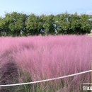 황산공원 축구장 이미지