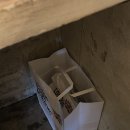 런던베이글뮤지엄 안국(LONDON BAGEL MUSEUM) 이미지