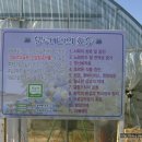 포항블루베리농원 이미지
