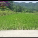 이반성면-6 이미지