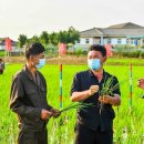 학천농장 이미지