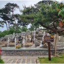 곡성-138 티스토리
