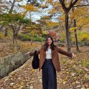 쌍송배기 단풍나무길 | 여행룩] 스파오 스웨이드 자켓과 유니클로 배기커브진의 환상 궁합(단풍구경/인천 강화도 여행/밴댕이...